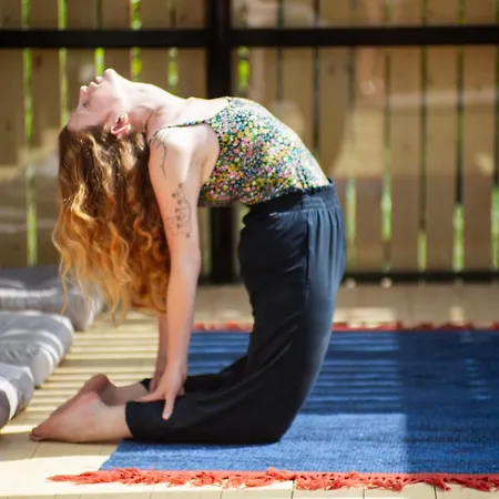 Villa Apanema Mindfulness With Fast Wifi, Pool, Sauna, Massage