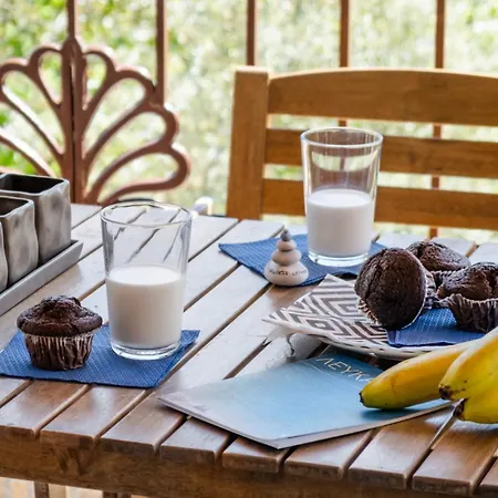 Apanema Mindfulness Lefkada - Ultra Fast Starlink Wifi In 2025 Asprogerakata