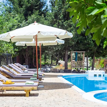 Villa Apanema Mindfulness Lefkada - Ultra Fast Starlink Wifi In 2025 Asprogerakata