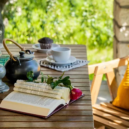 Apanema Mindfulness Lefkada - Ultra Fast Starlink Wifi In 2025 Villa