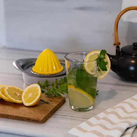 Villa Apanema Mindfulness With Fast Wifi, Pool, Sauna, Massage Asprogerakata