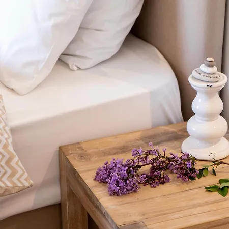 Apanema Mindfulness Lefkada - Ultra Fast Starlink Wifi In 2025 Villa