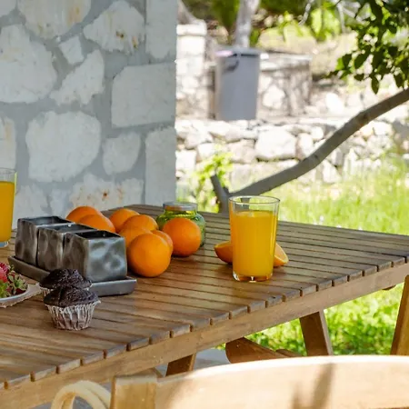 Apanema Mindfulness Lefkada - Ultra Fast Starlink Wifi In 2025 Asprogerakata