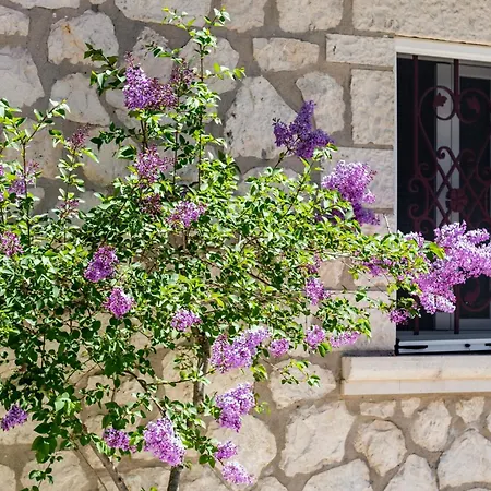 Apanema Mindfulness, Relaxing Adults Only Resort, Fast Wifi, Pool, Sauna, Massage Villa